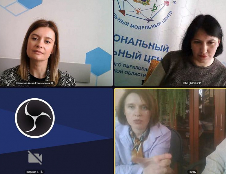 Рабочая встреча сотрудников Региональных модельных центров дополнительного образования детей Брянской и Калужской областей в дистанционном формате