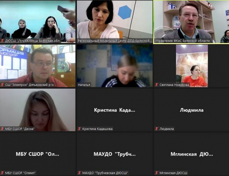 Рабочее совещание по вопросам внедрения Целевой модели развития региональных систем дополнительного образования детей на территории Брянской области в онлайн-формате