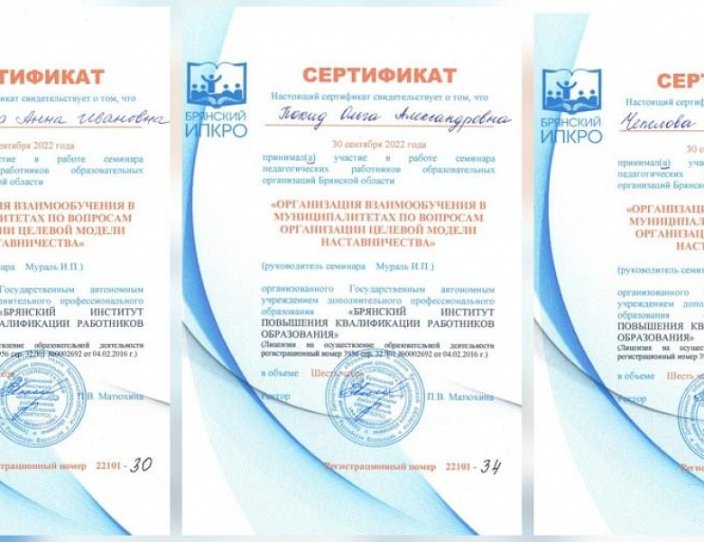 Участие в работе семинара педагогических работников образовательных организаций Брянской области «Организация взаимообучения в муниципалитетах по вопросам организации Целевой модели наставничества»
